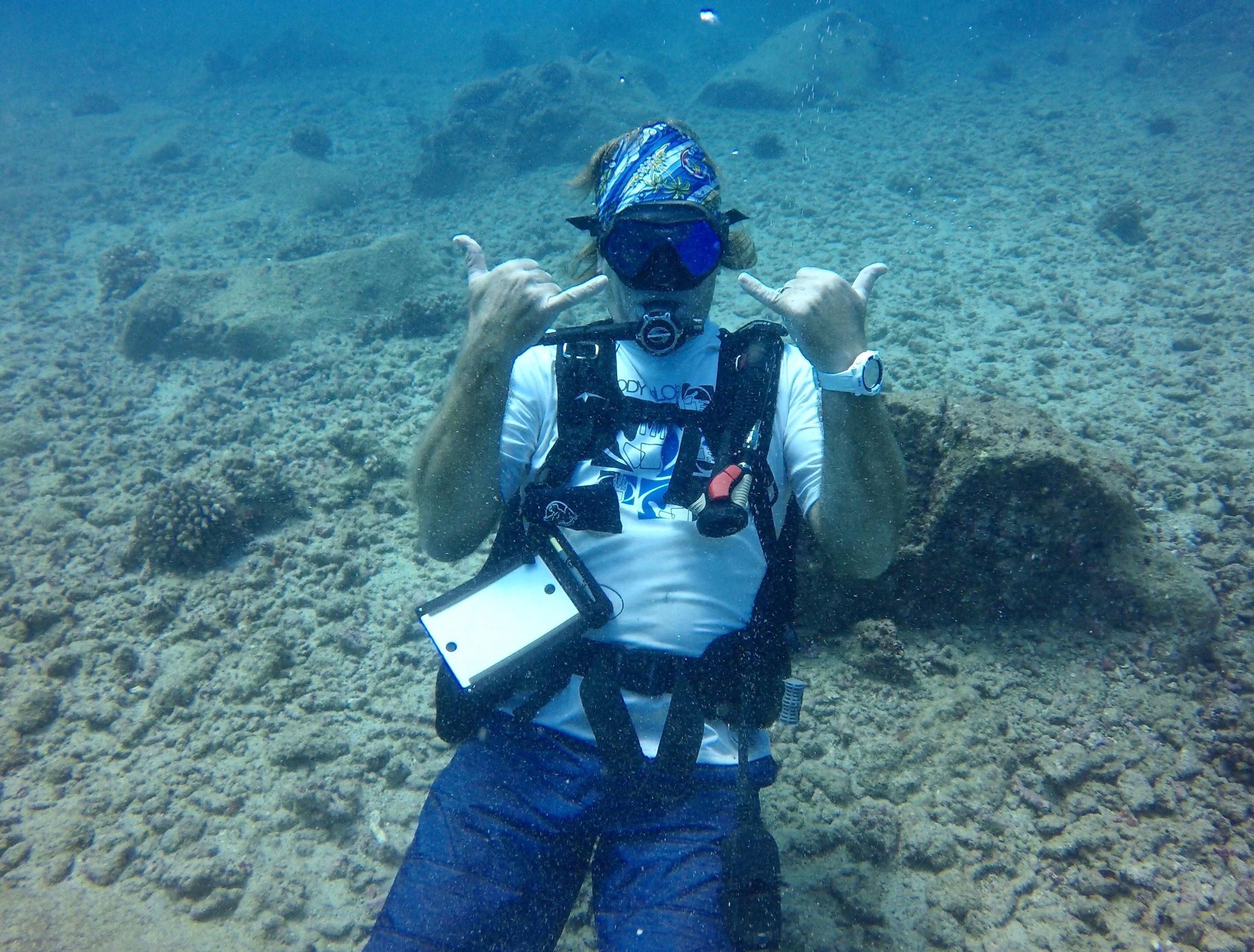 image of a scuba diver underwater