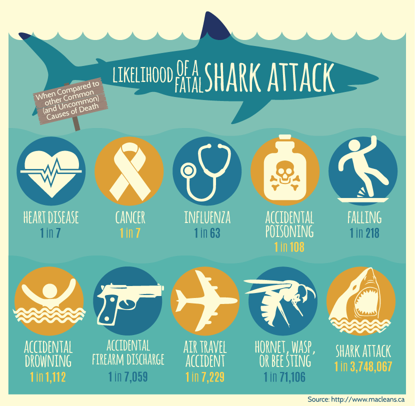 image showing common injury rates compared to shark attacks