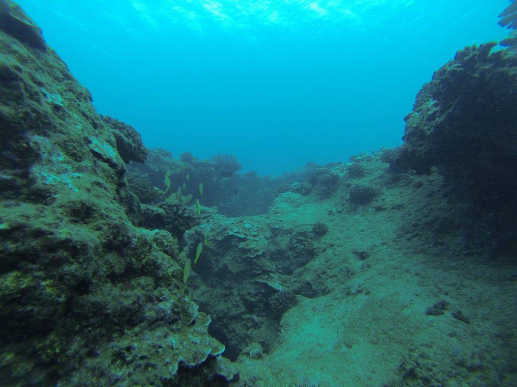 image of the reef at Salt Pond Arch