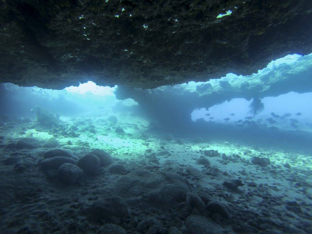 third image of the reef at Salt Pond Arch