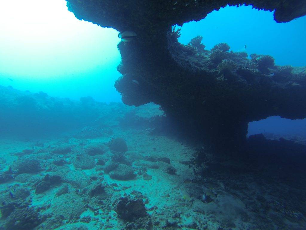 second image of the reef at Salt Pond Arch