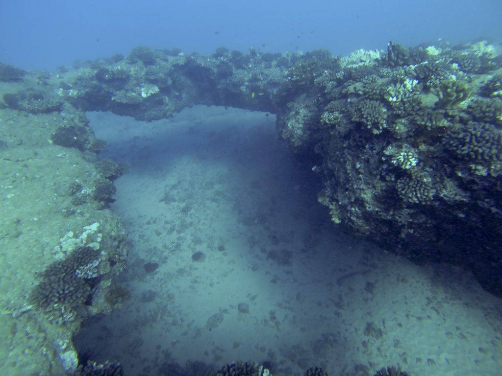 fourth image of the reef at Salt Pond Arch