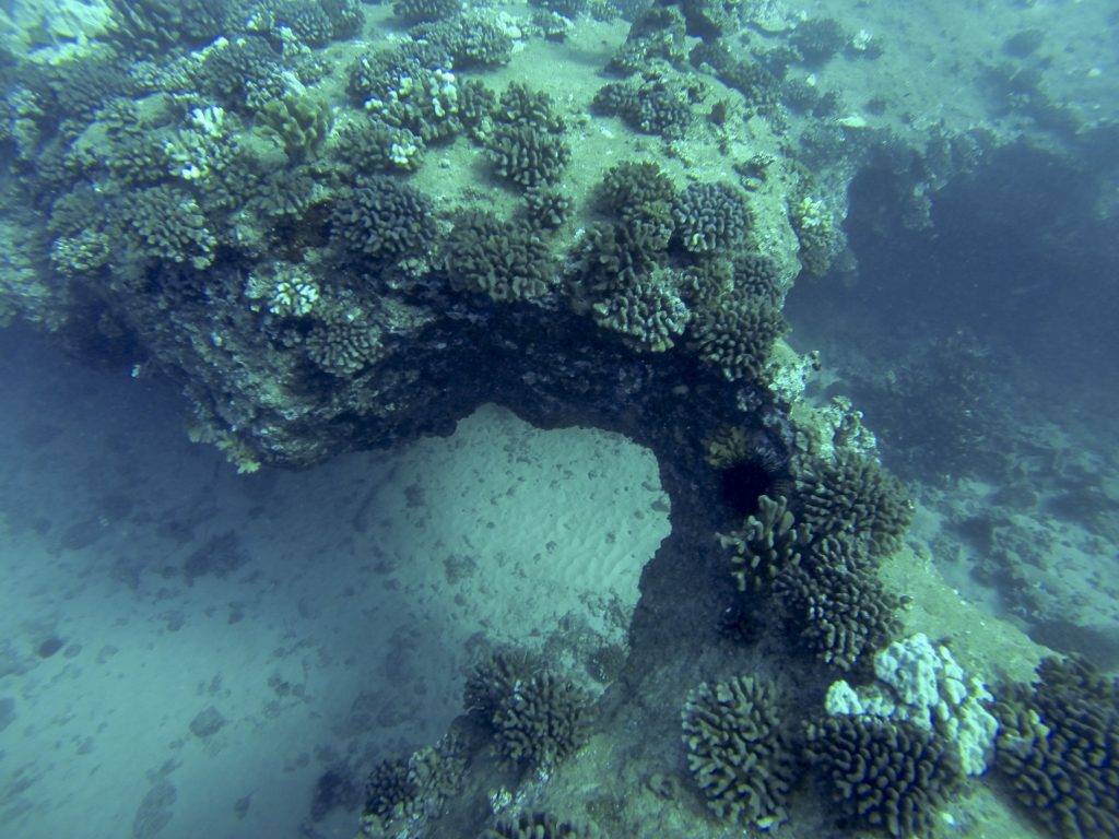 fifth image of the reef at Salt Pond Arch