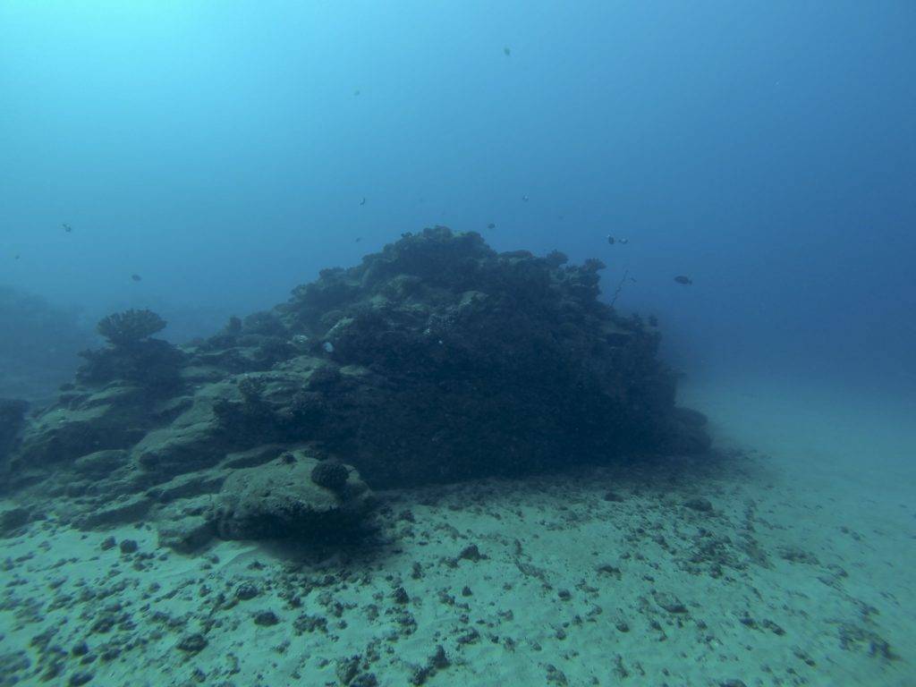 sixth image of the reef at Salt Pond Arch