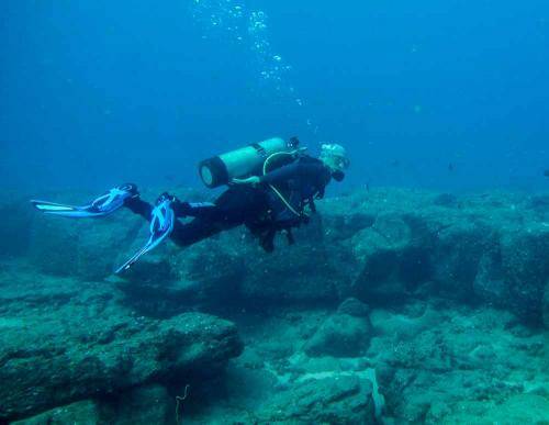 image of a diver at fishbowl