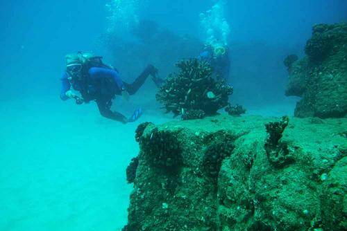 image of divers at harbor ledges